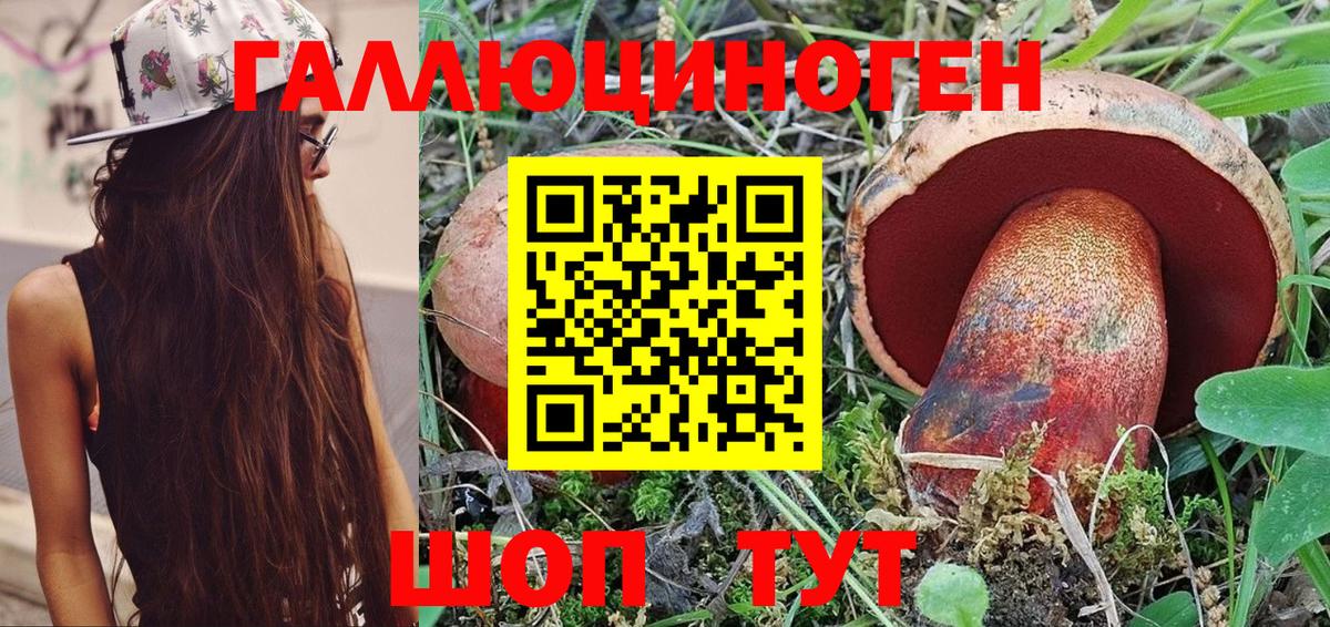 Галлюциногенные грибы мухоморы Мыски